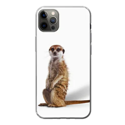 Produktbild von MuchoWow® Handyhülle Schutzhülle Hülle für iPhone 13 Pro Max Erdmännchen - Tiere - Fell Silikon Softcase Handy Hülle - Mobiltelefon
