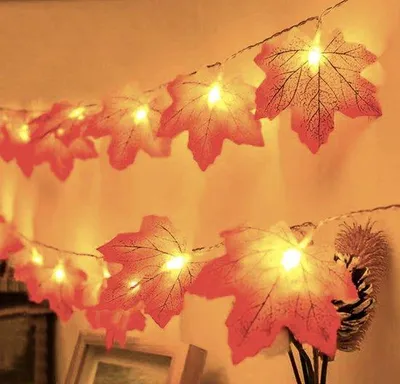 Produktbild von Herbstlichtkette mit Timer, 20 LED, 3 m, rote +++, batteriebetrieben, für Erntefest, Halloween und Weihnachten