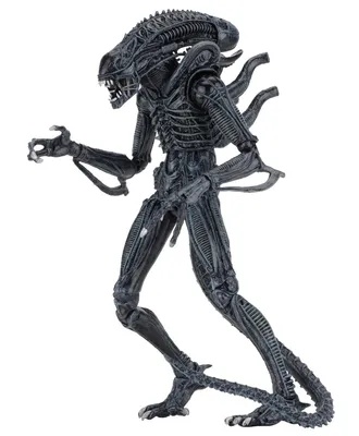 Produktbild von NECA Aliens (1986) - Blue Ultimate Alien Warrior Actionfigur