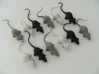 Produktbild von Mäuse 12erSet ca. 10 cm, Halloween, Spieltiere Spielzeug Spielfiguren
