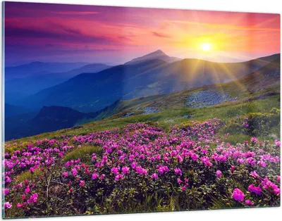 Produktbild von Bilder auf glas - Wiese Berge Landschaft - 120x80cm - Glasbilder - Wandbilder - Kunstdruck - zum Aufhängen bereit - Wanddekoration aus Glas - Glas Bilder - Wandbild auf Glas - GAA120x80-2676