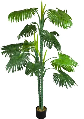 Image de Palmier Tallipot Rônier Plante Arbre Artificielle Artificiel Plastique 150 cm Decovego