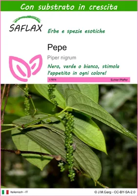 Immagine prodotto di SAFLAX  - Pepe  - 20 semi - Con substrato - Piper