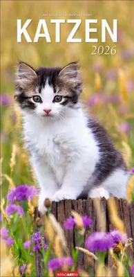 Produktbild von Katzen Wandkalender 2026 33 x 68 cm