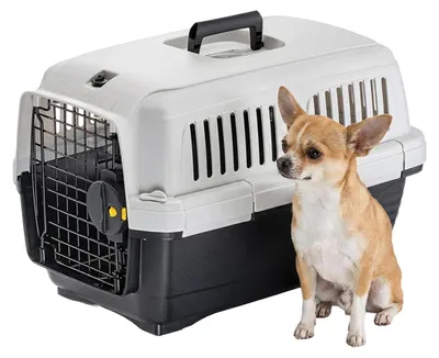 Produktbild von Ferplast Trasportino Gatto CLIPPER 1, IATA, Trasportino Cane Taglia Piccola e Ga