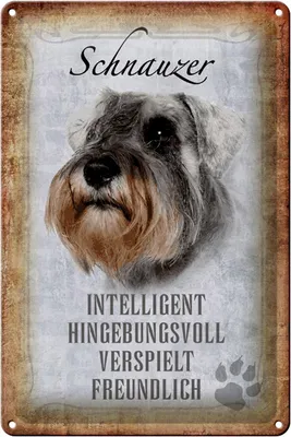 Produktbild von Blechschild Spruch 20x30cm Schnauzer Hund Schild