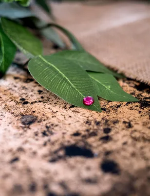 Obrázok produktu pre 100 mini konfety kruhy fuchsiová 0,6 cm - jednotná veľkosť