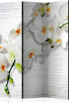 Produktbild von 3-teiliger Doppelseitiger Vlies Paravent - The Urban Orchid 135x172 cm Blumen b-A-0089-z-b
