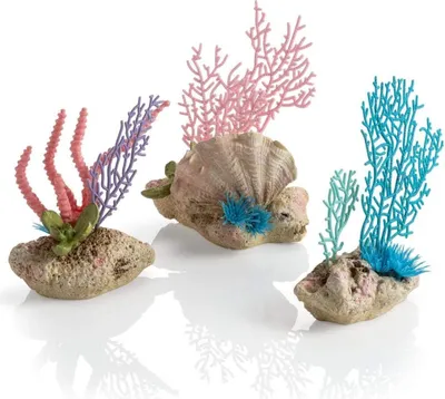 Obrázek produktu pro biOrb coral fans & shells set