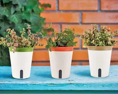 Image de Pot à plantes auto-arrosant 14,5 cm - Pots à fleurs de jardin Bonsaï - indicateur de niveau d'eau, trou d'évacuation - 3 pièces