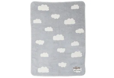 Produktbild von David Fussenegger Kuscheldecke KiDs PANDA - born to sleep