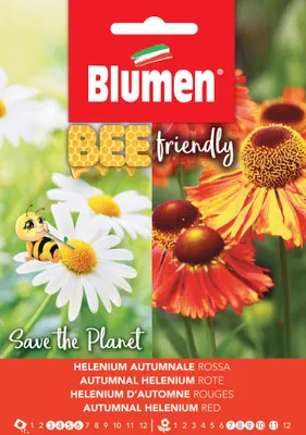 Produktbild von Gewöhnliche Sonnenbraut | Blumensamen von BLUMEN Group