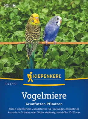 Produktbild von Kiepenkerl Vogelmieresamen Frischgrün-Futter Stellaria media 1 m²