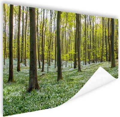 Produktbild von MuchoWow® Poster Bäume - Blumen - Frühling 120x60 cm - Bild