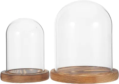 Immagine prodotto di Vasi in vetro - Vasi espositivi - Per presentare decorazioni - Con base in legno - Set da 2, dimensioni 47/63 pollici - Trasparente