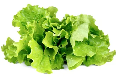 Obrázek produktu pro Click and Grow zelený salát, kapsle se semínky a substrátem 9ks
