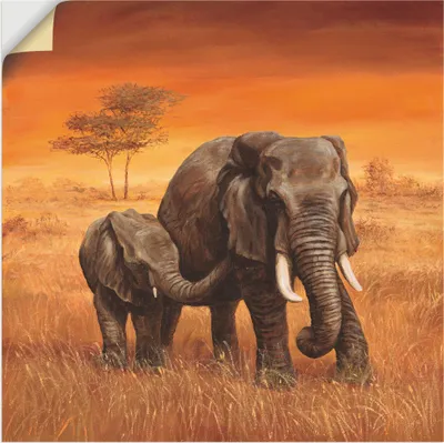 Produktbild von ARTland Wandbild, selbstklebend Elefanten II Größe: 30x30 cm