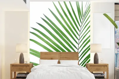 Obrázok produktu pre MuchoWow® fototapeta do obývačky alebo spálne tapeta vinylový motív tapety rastlina - zelená - príroda - biela - 195x260 cm - fototapeta