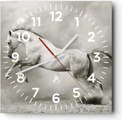 Produktbild von Wanduhr - Quadrat - Glasuhr - Pferd Tier - 40x40cm - Schleichendes Uhrwerk - Lautlos - zum Aufhängen bereit - Dekoration Modern - Wanddekoration aus Glas - C4AC40x40-3542