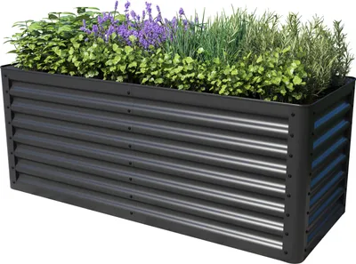 A raised garden bed filled with various plants, including purple flowers and green herbs, set against a white background.