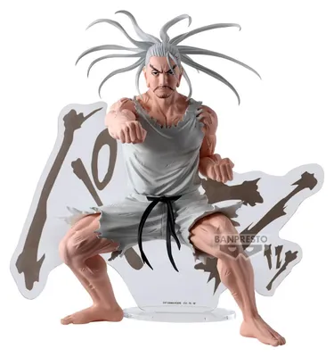 Obrázek produktu pro Hunter X Hunter Hunting Archives PVC soška Netero 18 cm