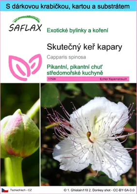 Obrázek produktu pro SAFLAX Dárková sada - Skutečný keř kapary - Capparis spinosa - 25 Semena - S dárkovou krabičkou, přepravním štítkem, dárkovou kartou a pěstebním médiem