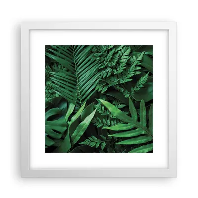 Produktbild von Gerahmtes Poster - Weißer Rahmen - Exotisch Blätter Monstera - 30x30 cm - Wand Bild - Wanddeko - Wandbilder - Kunstposter - Wandposter - Bilderrahmen - Bilder - Kunstdruck - P2WAC30x30-4746