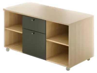 Produktbild von Regaleinheit Aufbewahrungsbox Rechteck Arbeitszimmer Chef Exclusive Büro CEO Neu