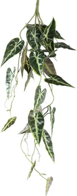 Produktbild von PTMD - Künstliche Blätter - Grün - 78 x 32 x 80 cm