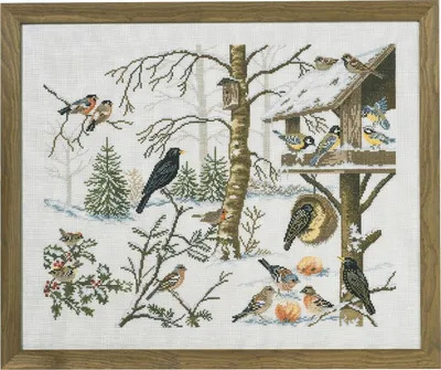 Produktbild von Eva Rosenstand Kreuzstich Set "Vogel", Zählmuster, 55x45cm