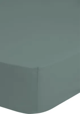 Productafbeelding van Good Morning Hoeslaken Jersey Katoen Stretch 30cm Hoge Hoek - misty green 180x200cm