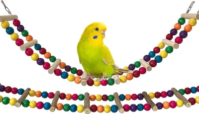 Obrázok produktu pre 2PCS Vtáčí rebrík hračka Rainbow Flexibilný papagáj Swing Bridge Drevená klietka Cockatiel Závesný lezecký rebrík (5 krokov)