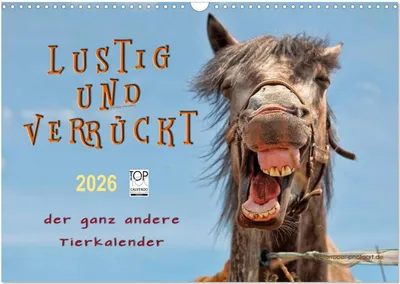 Produktbild von Lustig und verrückt - der ganz andere Tierkalender (Wandkalender 2026 DIN A3 quer), CALVENDO Monatskalender