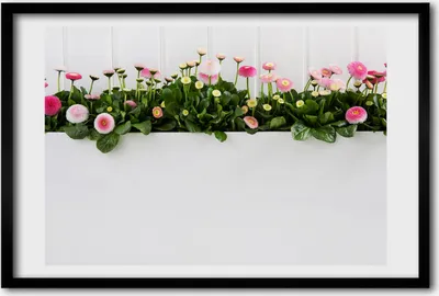 Produktbild von Bild 60x40 MDF-Rahmen, Wandkunst rosa Gänseblümchen