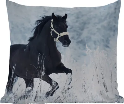 Produktbild von MuchoWow® Outdoor Kissen - Pferd - Schnee - Winter - 40x40 cm - Wetterfest - Lounge Kissen - Kopfkissen - Interieur - Polster mit Bild