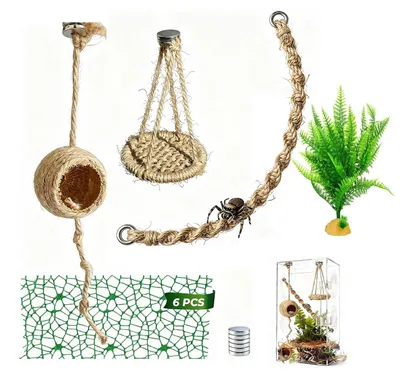 Immagine prodotto di Solidchoice - Set di accessori da 16 pezzi per terrario per aracnidi