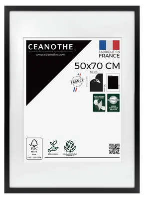 Image de Ceanothe cadre photo Milan noir 50x70 cm avec passe-partout 40x50 cm
