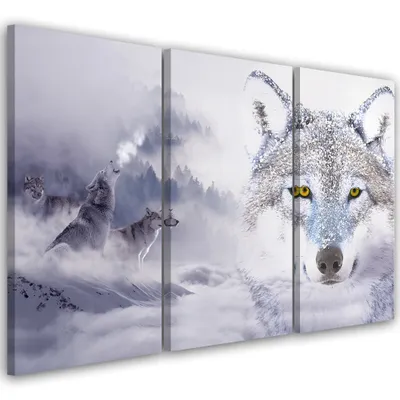Produktbild von Triptychon auf leinwand tiere - grau 90x60 cm Feeby grau wandbild bereit zum aufhängen