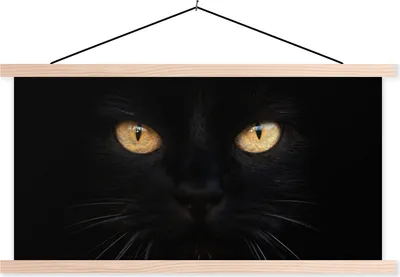 Produktbild von MuchoWow® Textilposter Nahaufnahme einer schwarzen Katze 60x30 cm mit holzfarbenen Rahmen - Dekoration
