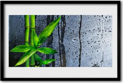 Produktbild von Bild 60x40 MDF-Rahmen Wandkunst Bambusblatt Natur Pflanze
