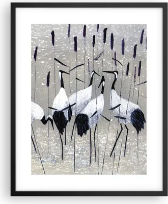 Produktbild von Gerahmtes Poster - Schwarzer Rahmen - Vogel Natur Wasser - 40x50 cm - Wand Bild - Wanddeko - Wandbilder - Kunstposter - Wandposter - Bilderrahmen - Bilder - Kunstdruck - Wandbild - P2BPA40x50-3687