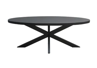 Produktbild von Livingfurn – Esstisch Kala Oval Spider 160 cm – Mangoholz / beschichteter Stahl
