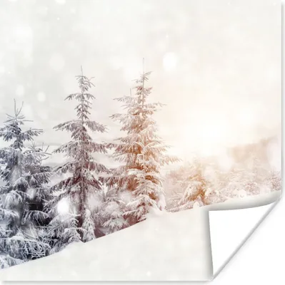 Produktbild von MuchoWow® Poster Baum - Schnee - Winter 75x75 cm - Wand Dekoration