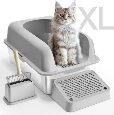 A large cat litter box with a cat sitting inside, and a litter scoop next to it.