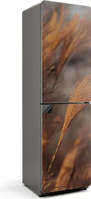 Produktbild von Zarte Grashalme – Magnetische Kühlschrank Abdeckung – Dekorfolie magnetisch Küche – Kühlschrank Magnet Deko – selbstklebende Magnettafel – Magnetfolie für Kühlschranktür – 60x205 cm