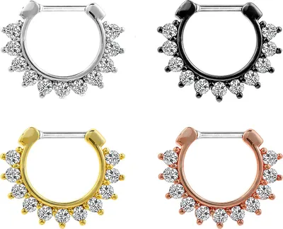 Produktbild von Karisma Titan G23 Septum Clicker Segment Ring Nasenring Nasenpiercing Zirkonia- 1,2x8mm tsc-h009 - Silber