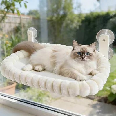 Imagen del producto de Cama para ventana para gatos, resistente, apta para mascotas de hasta 18 kg, con ventosas, ideal para interiores