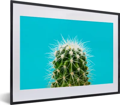 Produktbild von MuchoWow® MuchoWow® Gerahmtes Poster Kaktus auf blau 40x30 cm - Poster mit zchwarzem Bilderrahmen - Bilderrahmen - Poster im Rahmen