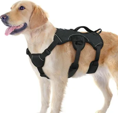 Produktbild von Famanu Hundegeschirr für mittelgroße und große Hunde - Verstellbar, mit Rückenhandgriff und reflektierenden Streifen, schwarz, Größe L