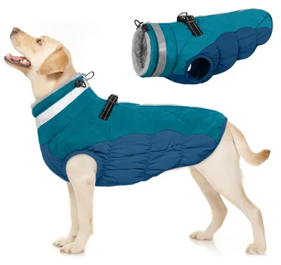 Immagine prodotto di Cappotto impermeabile per cani, caldo, antivento, color verde scuro, taglia L